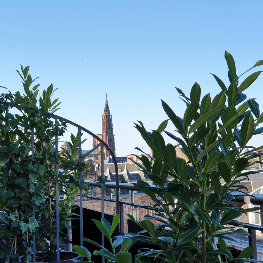 Maison Lutetia R Strasbourg Kültér fotó